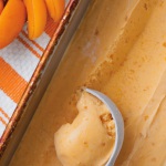 Roasted Apricot Sherbet